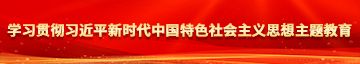 逼里逼污污在线观看学习贯彻习近平新时代中国特色社会主义思想主题教育